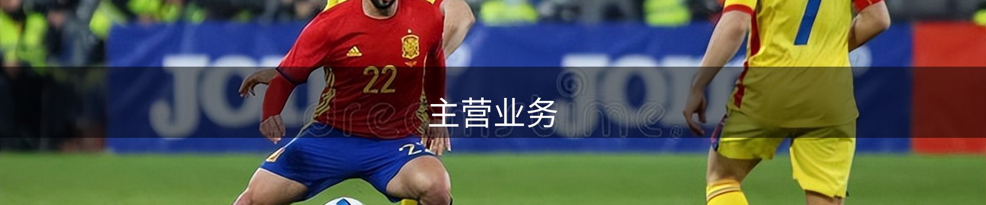 主营业务